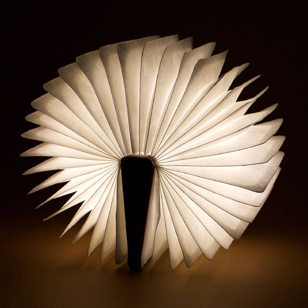 Legami Libro Luminoso - Light Book Consegna Veloce