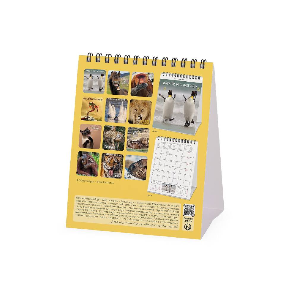 Legami Calendario da Tavolo 2025 - 12 x 14,5 cm Nuovo