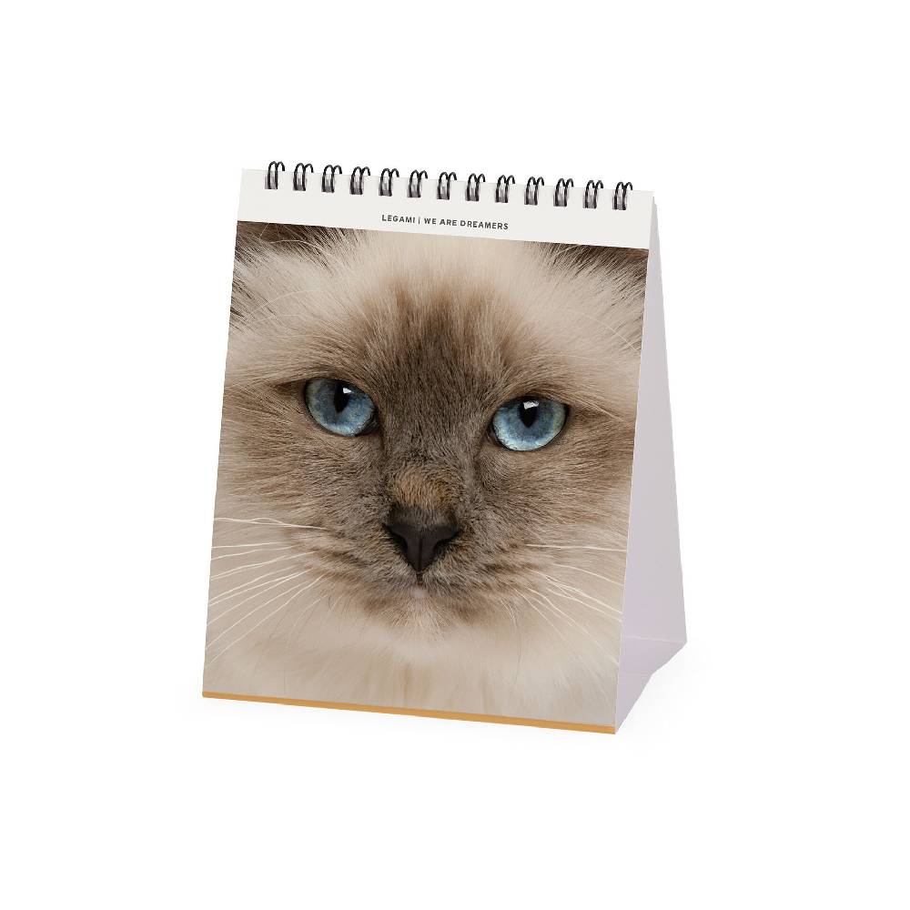 Legami Calendario da Tavolo 2025 - 12 x 14,5 cm Pezzi Unici
