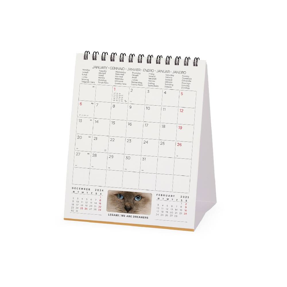 Legami Calendario da Tavolo 2025 - 12 x 14,5 cm Pezzi Unici