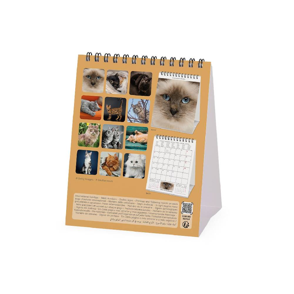 Legami Calendario da Tavolo 2025 - 12 x 14,5 cm Pezzi Unici