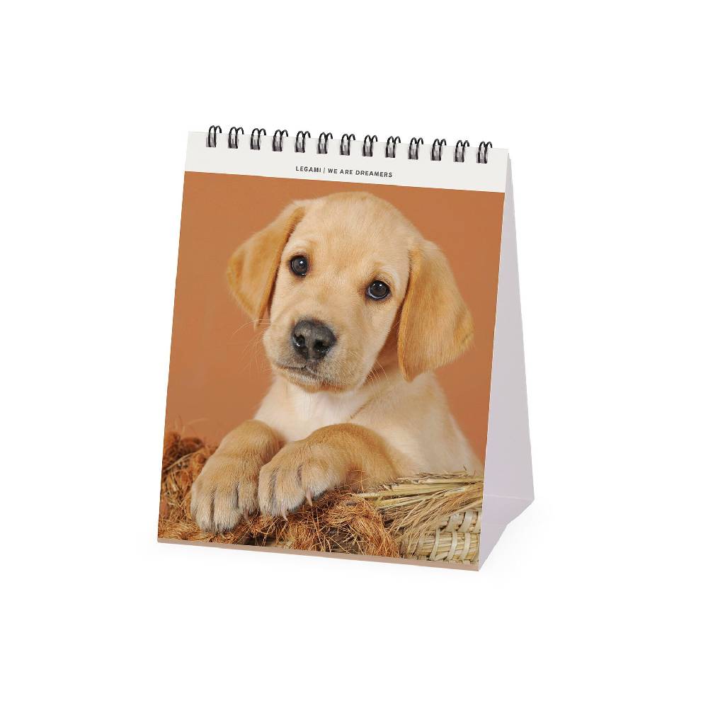 Legami Calendario da Tavolo 2025 - 12 x 14,5 cm Acquista Ora