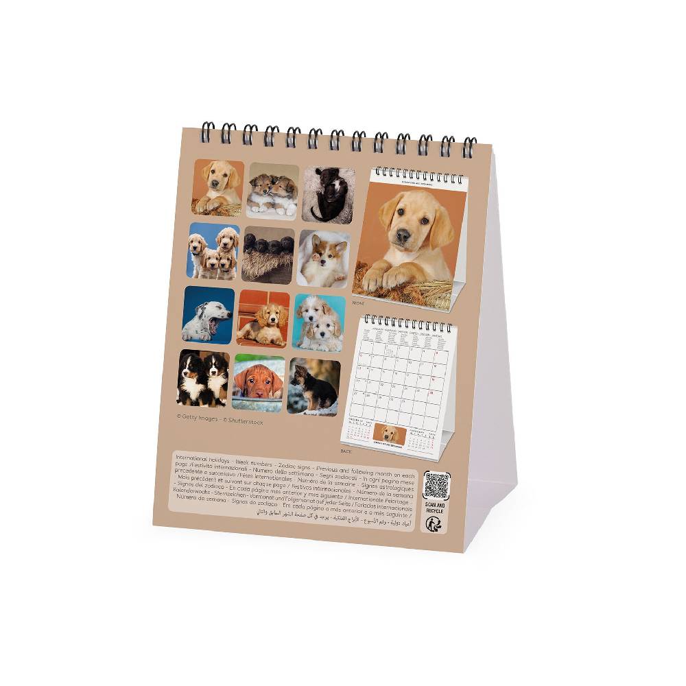 Legami Calendario da Tavolo 2025 - 12 x 14,5 cm Acquista Ora