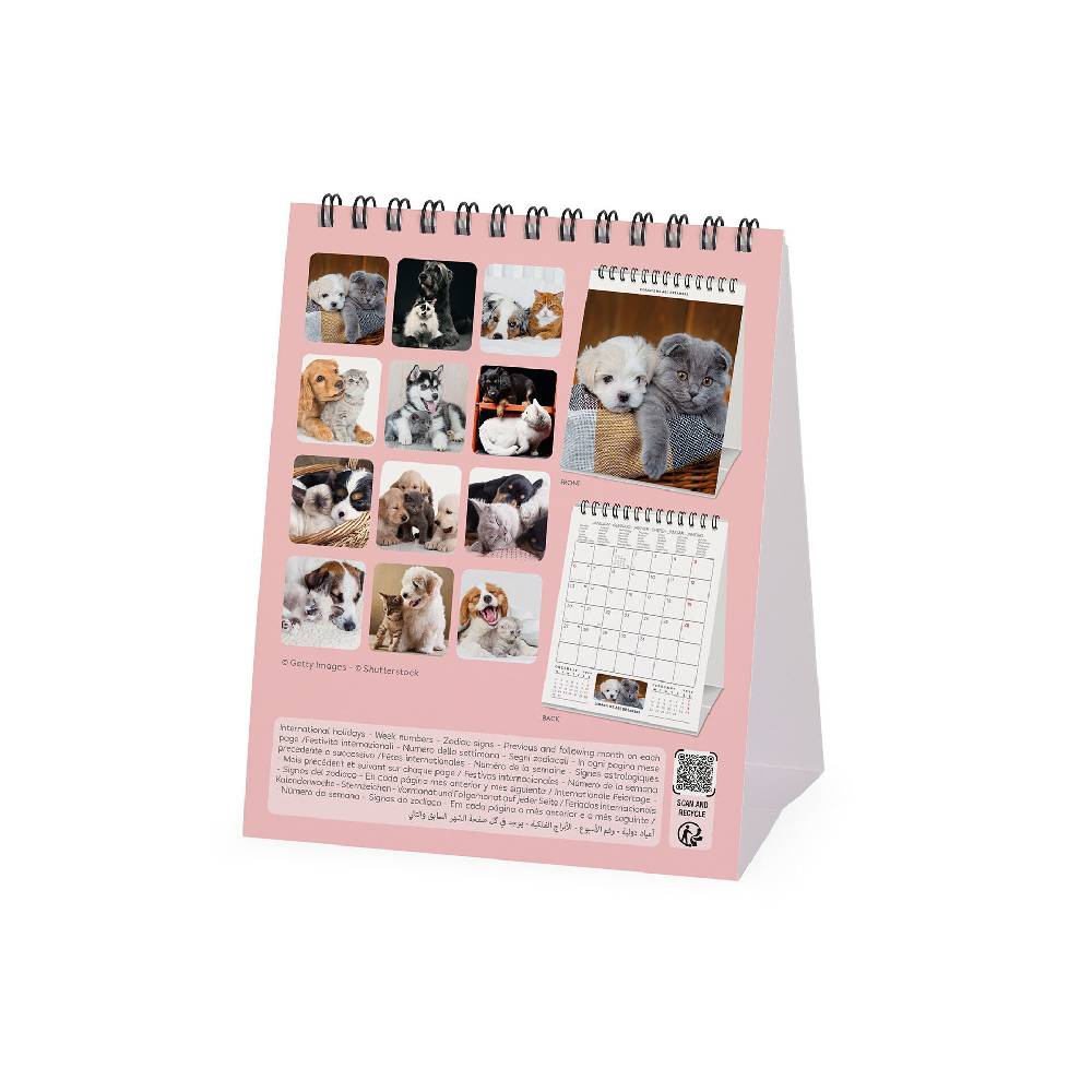 Legami Calendario da Tavolo 2025 - 12 x 14,5 cm Consegna Veloce