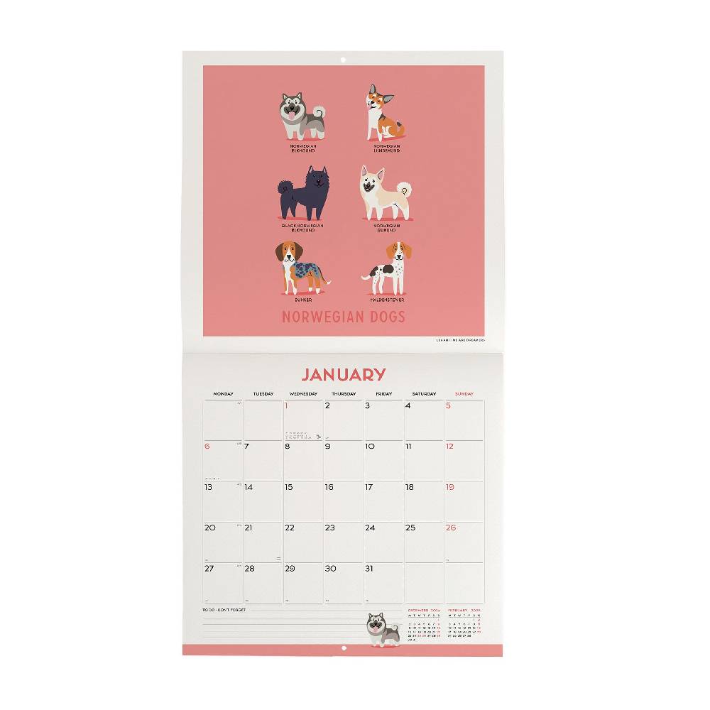 Legami Calendario da Parete 2025 - 30 x 29 cm In Vendita