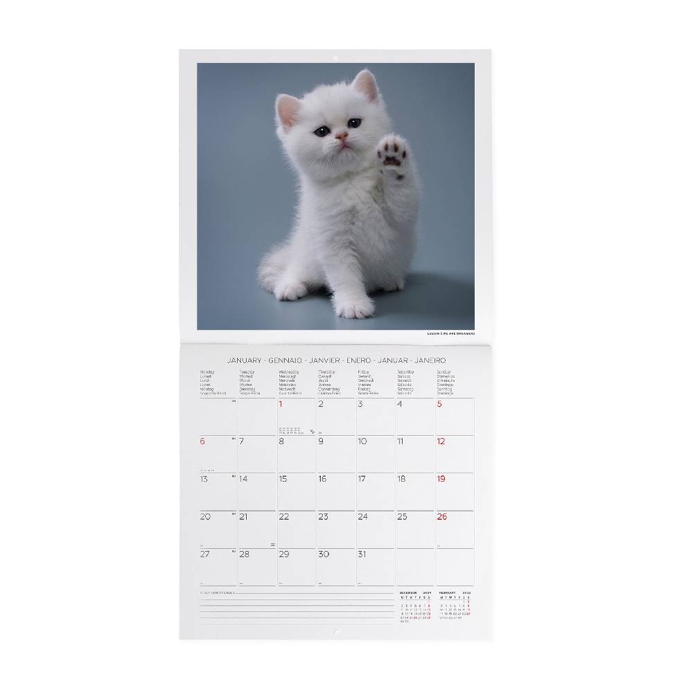 Legami Calendario da Parete 2025 - 30 x 29 cm Vendita Calda
