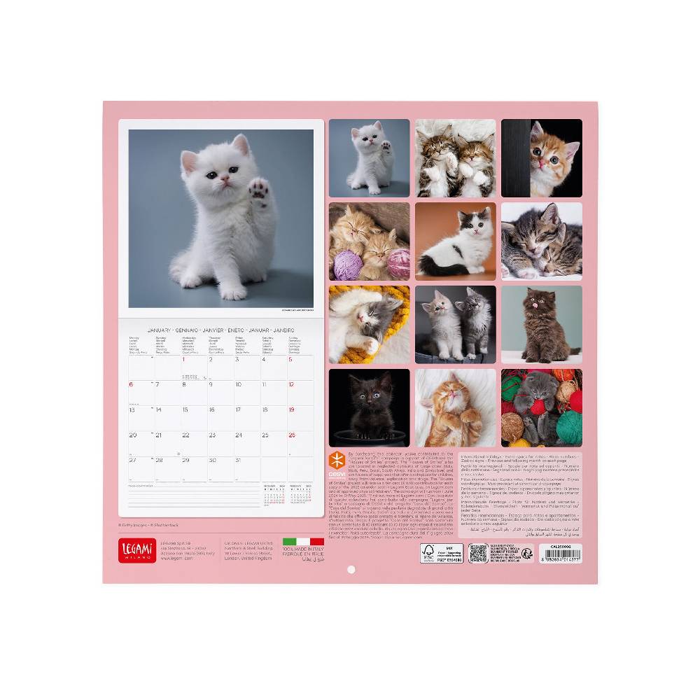Legami Calendario da Parete 2025 - 30 x 29 cm Vendita Calda