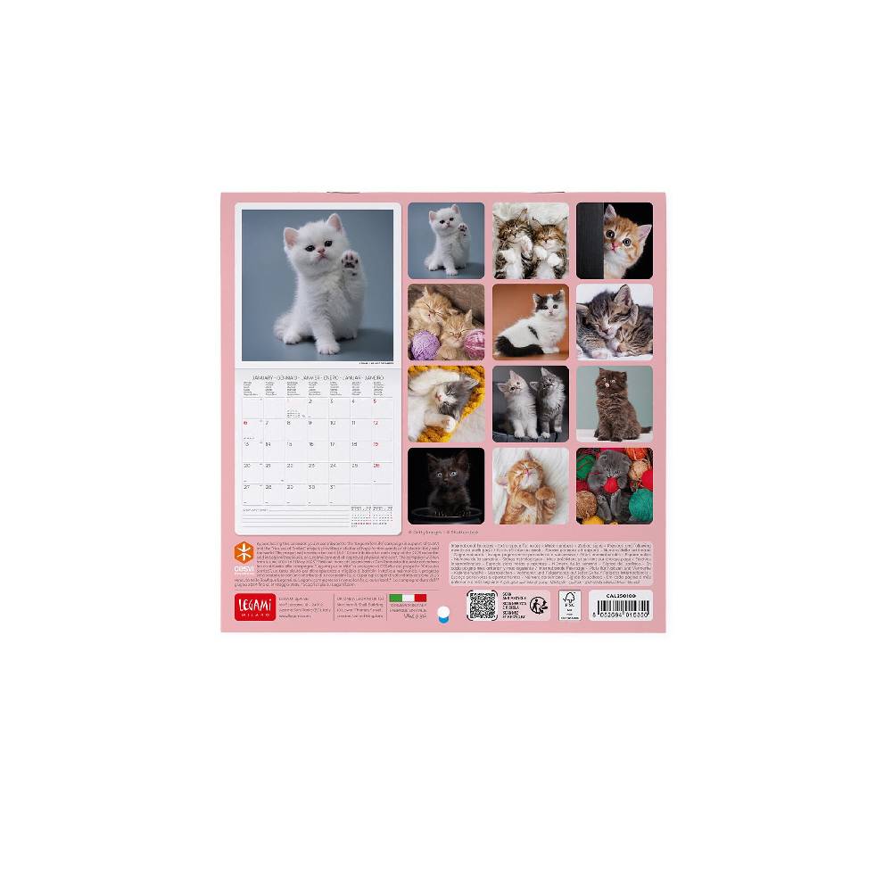 Legami Calendario da Parete 2025 - 18 x 18 cm I Più Venduti