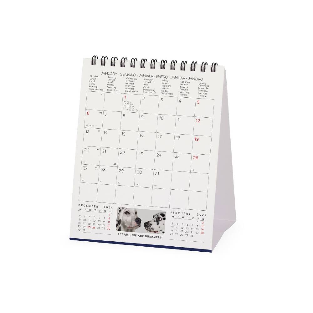 Legami Calendario da Tavolo 2025 - 12 x 14,5 cm Ritorno libero