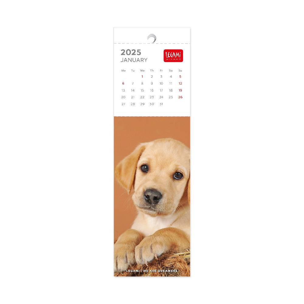 Legami Calendario Segnalibro 2025 - 5,5 x 18 cm Pezzi Unici