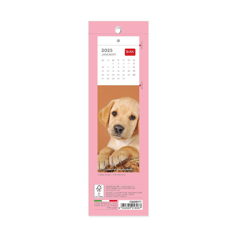 Legami Calendario Segnalibro 2025 - 5,5 x 18 cm Pezzi Unici