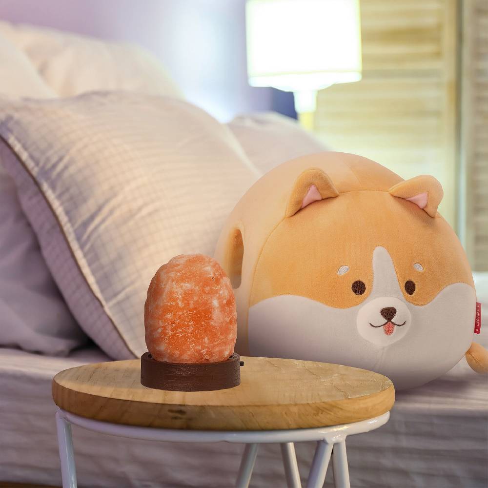 Legami Set Cuscino Corgi e Himalayan Salt Lamp Acquista Ora