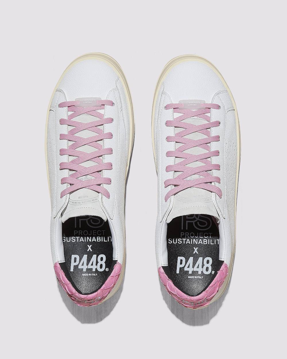 P448 John Carp/Pink Saldi