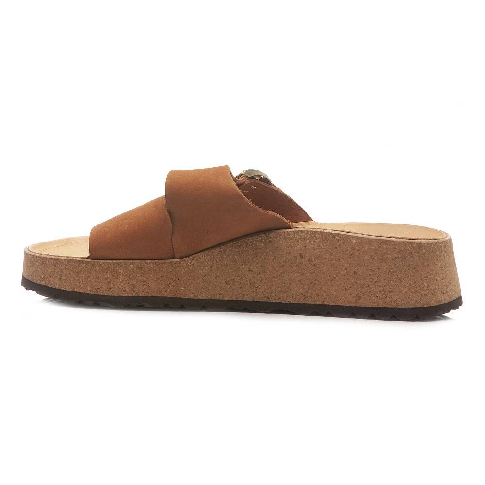 Papillio Almina 1026892 2025