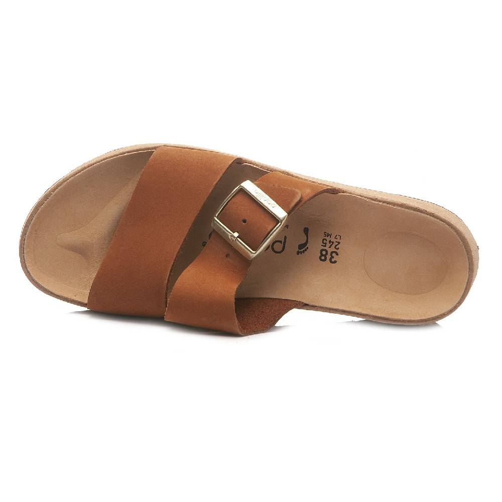 Papillio Almina 1026892 2025