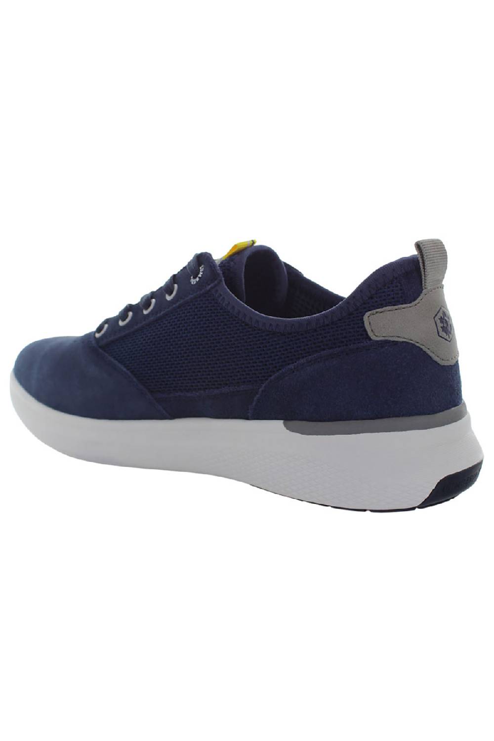 LumberJack NEIL SNEAKER UOMO Outlet