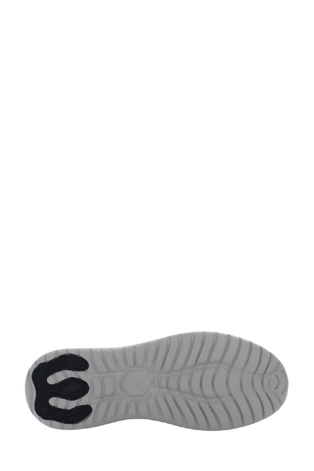 LumberJack LEE SNEAKER UOMO In Linea