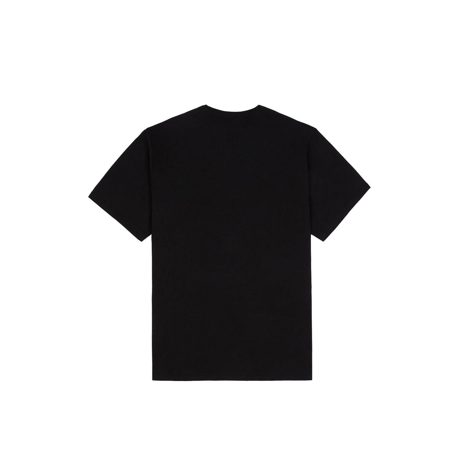 Dickies Aitkin Tee Online