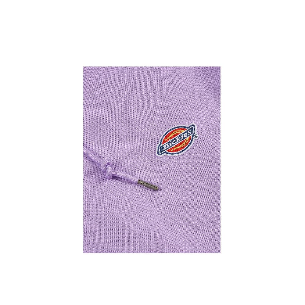 Dickies Millersburg Hoodie Vendita calda